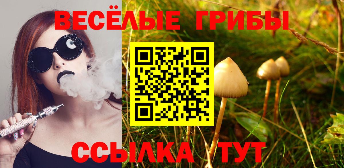 Псилоцибиновые грибы прущие грибы  Вход с VPN  Полевской 